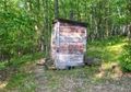 Sepetak Toilet di Tengah Hutan Ini Akan Membuat Anda Kagum Setelah Melihat Bagian Dalamnya