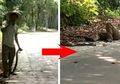 Nekat Pegang Ular King Kobra dengan Tangan Kosong, Beberapa Detik Kemudian Pria Ini Tewas