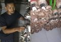 Tak Kunjung Dapat Pekerjaan Setelah 4 Tahun Lulus Sarjana, Inilah Kisah Solihin yang Kini Sukses Besar dengan Dagang Jamur Tiram