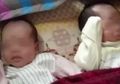 Sepasang Orangtua Tega Menjual Bayi Kembar Mereka kepada Orang Asing, Lagi-lagi Soal Uang