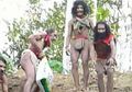 Kehidupan Suku Togutil di Halmahera, Tak Mengenal Budaya dan Agama Serta Berpakaian Dedaunan