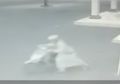 Pakai Sarung Pura-pura Hendak Sholat Subuh, Pria Ini Curi Sepeda Motor di Masjid