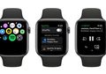 Update Spotfy Kini Mendukung Fitur Siri di Apple Watch, Bisa Disuruh Pakai Suara