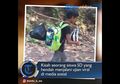 Perjuangan Marianta, Siswa SD yang Mau Ikut Ujian, Jalan Kaki Selama 3 Jam hingga Numpang Tidur di Rumah Warga