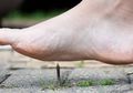 Paku Berkarat Sebabkan Tetanus? Itu Mitos! Ini Fakta Sebenarnya