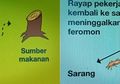 Identifikasi Serangan Rayap dari Jejaknya, Ini Material Incarannya!