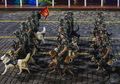 Ini Dia Negara-negara dengan Militer Paling Lemah di Dunia, Apakah Indonesia Termasuk di Dalamnya?
