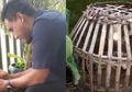 Ini Cara Mengubur Ari-ari dengan Benar, Panduan Penting bagi Para Ayah yang Baru Punya Bayi