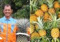 Sukses Jadi Auditor Keuangan, Pria Malaysia Ini Malah Pilih Hidup Sebagai Petani, tapi Lihat Penghasilannya Kini!