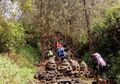 Alas Lali Jiwo, Hutan Wingit dengan Arca Peninggalan Majapahit yang Dilalui Para Pendaki Gunung Arjuno