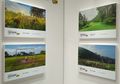 Pameran Go Wider Go Up Bertajuk Indonesia Bercerita Resmi Dibuka