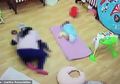 Terus-terusan Menangis saat Tidur Siang, Bayi Ini Ditindih Pengasuhnya Hingga Tewas