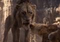 Trailer Terbaru 'The Lion King' Tampilkan Pertemuan Simba dengan Scar