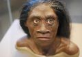 Misteri Manusia Hobit di Indonesia Sedikit Tersingkap Karena Tikus, Kok Bisa?