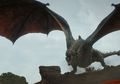 Suara Naga di 'Game of Thrones' Ternyata Diambil Dari Kura-kura Kawin