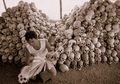 Tewaskan Jutaan Orang, Ini 4 Realita Kehidupan di Bawah Rezim Brutal Pol Pot
