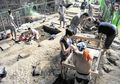 Masih Kerabat Hobbit Flores, Ditemukan Spesies Manusia Purba Filipina, Ini Ciri Keduanya