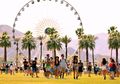 Setiap Harinya Ada 250 Kasus Herpes di Kota-kota dekat Festival Coachella
