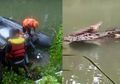 Pria Penambang Pasir Diterkam Buaya Saat Menyelam di Sungai Buton, Warga Lihat Korban Diseret dan Ditenggelamkan