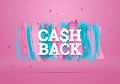 Banyak Disukai Masyarakat Indonesia Saat Berbelanja, Aplikasi Ini Hadirkan Cashback Saat Pemilu