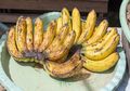Pisang Memang Menyehatkan, Namun Perhatikan Dulu 3 Hal Ini Sebelum Mengonsumsinya
