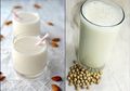 Mana yang Lebih Baik untuk Tubuh, Susu Almond atau Susu Kedelai?
