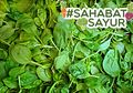 Bayam Hijau Jadi Obat Potensial Luar Biasa Bagi #SahabatSayur Penderita Diabetes