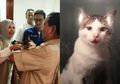 Ikut Jenguk Sandiaga Uno, Inilah Bobby Kertanegara Kucing Kesayangan Prabowo yang Followers Instagramnya 51 Ribu!
