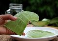 Bikin Masker Lidah Buaya dan Madu untuk Kulit Mulus Ini Murah dan Cuma Butuh #5MenitAja