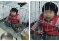 Ayah Tega Kurung Anak di Kandang Anjing dan Lolos dari Jerat Hukum, Kok Bisa?