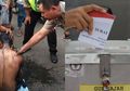 Dari Jual Ginjal hingga Mandi Kembang di Padepokan, Inilah Deretan Kisah Caleg Stres Sepanjang 2014