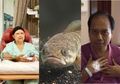 Sutopo Sarankan Ibu Ani Makan Ikan Gabus: Ternyata Ikan Gabus Ini Punya Manfaat Ajaib Bagi Pasien yang Jalani Operasi