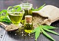 Pro Kontra Penggunaan Ganja di Bidang Medis: Aman Dijadikan Obat Herbal?