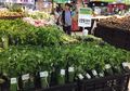 Setelah Thailand, Kini Supermarket di Vietnam Ikut Ganti Plastik dengan Daun Pisang. Indonesia Kapan?