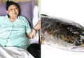 Jadi Makanan yang Bisa Selamatkan Nyawa Ani Yudhoyono, Ikan Gabus Juga Mampu Atasi Penyakit Mematikan Selain Leukimia
