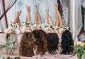 Tak Perlu Mahal, Bahan Tak Terduga Ini Bisa Menutrisi Rambut!