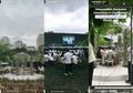 Bak Konser Luar Negeri, Tilik Dekorasi Pernikahan Istri Mendiang Sys Ns yang Berlangsung di GBK 'Pecahkan Rekor MURI'