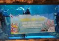 Peringati Hari Bumi, Seaworld Ajak Lindungi Lautan dari Sampah Plastik