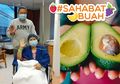 #SahabatBuah Harus Tahu, Ternyata Avokad Bisa Jadi Kunci Kesembuhan Leukimia Ani Yudhoyono, Lo!