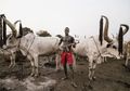 Bukan Pakai Cambuk, Suku Mundari di Sudan Selatan Menjaga Sapinya dengan AK-47, Sangar!