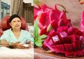 Sutopo Sarankan Ibu Ani Makan Buah Naga, yang Punya Manfaat Luar Biasa untuk Ibu Hamil: Dari Cegah Cacat Hingga Bantu Pembentukan Otak