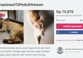 Mahasiswa ITS Buka Donasi untuk Biaya Klinik Kucing Liar di Kampus