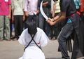 Kisah Darshan Singh, Algojo yang Telah Mencabut Nyawa 850 Orang Tervonis Mati