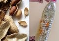 Sering Dibuang, Nyatanya Kulit Kacang Punya Manfaat Luar Biasa, Ini Cara Memanfaatkannya
