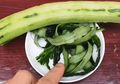 Jangan Dibuang, Ternyata Kulit Mentimun Masih Bisa Digunakan Untuk 3 Hal Ini