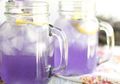 Buat Ramuan Lavender Campur Lemon, Manfaat Menakjubkannya Akan Terasa dalam Kehidupan Sehari-hari!
