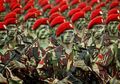 Beberapa Kali Ditolak, Mantan Preman Ini Jadi Prajurit Kopassus, 'Kalau Tidak Jadi Tentara, Saya Akan Jadi Bajingan'