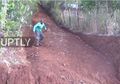 Muak Tunggu Pemerintah Tak Kunjung Gerak, Pria Kenya Ini Bangun Sendiri Jalan di Desanya