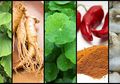 7 Bumbu dan Rempah Alami untuk Memperlambat Proses Penuaan, Apa Saja?