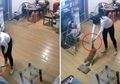 Terekam CCTV, Wanita Ini Tega Menyiksa Kucing Milik Temannya Selama 1 Jam Lamanya